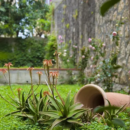 B&B Palazzo Scorza *
