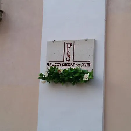 Palazzo Scorza B&B 파올라
